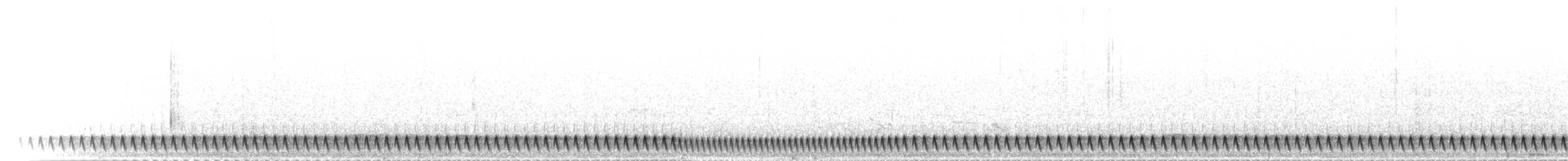 Square-tailed Nightjar - ML277103