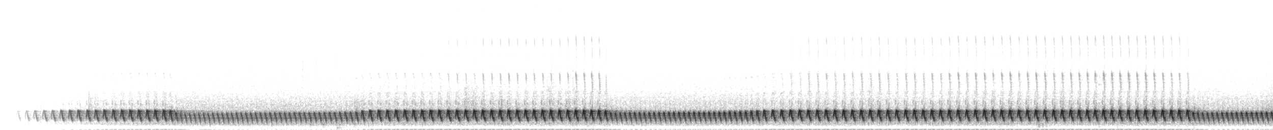 Square-tailed Nightjar - ML277161