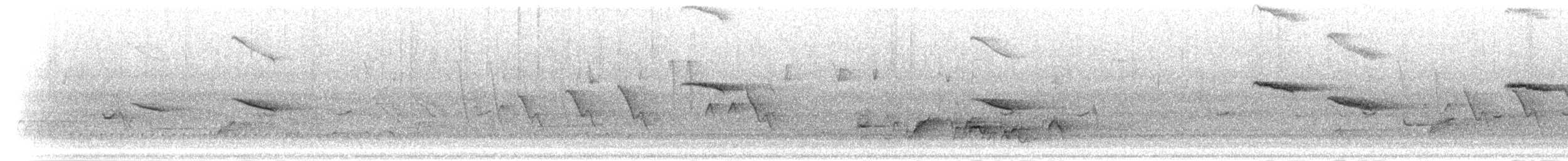 Белоплечая термитница (arnotti) - ML277252
