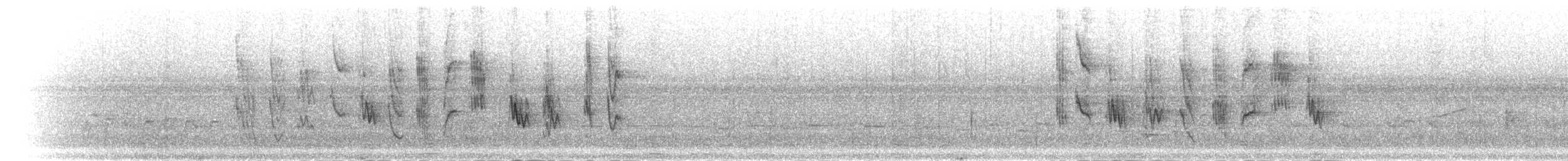 ウスチャヒタキ - ML277322