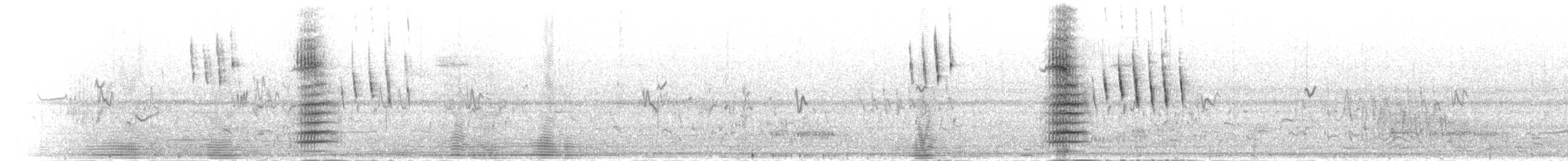 Marsh Widowbird - ML277345