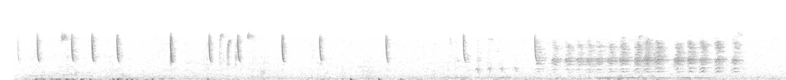 Широкохвостый колибри - ML277382761