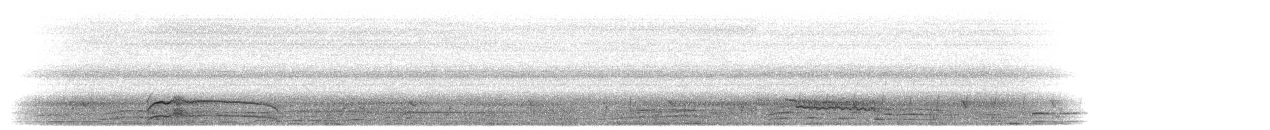 luňák hnědý (ssp. aegyptius/parasitus) - ML277394