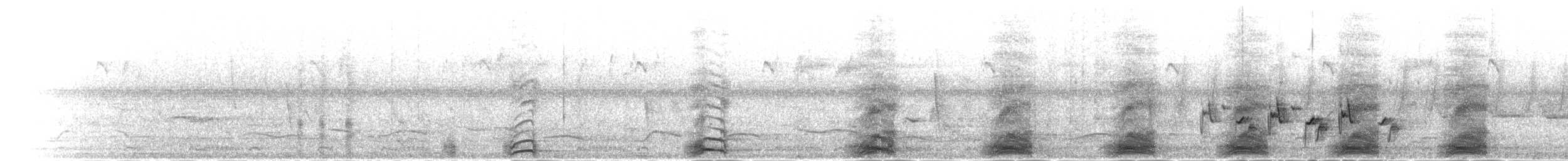 Turaco de Schalow - ML277437