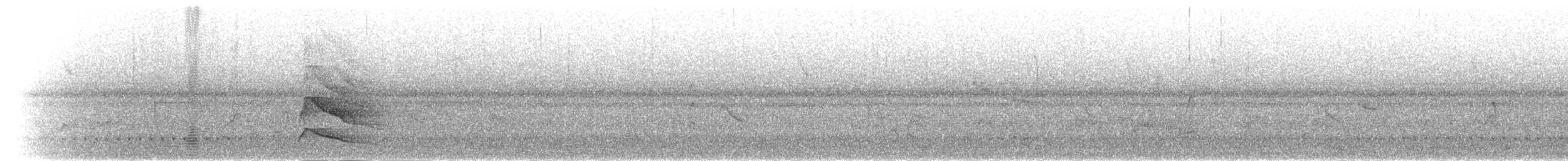 bronseibis - ML277449
