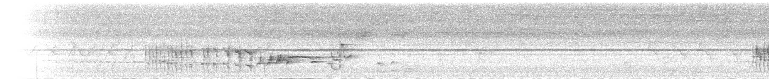 Смолярик білоголовий (підвид arnotti) - ML277457