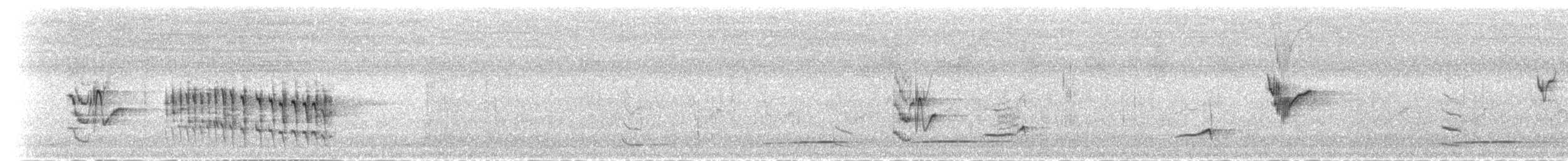 Смолярик білоголовий (підвид arnotti) - ML277458