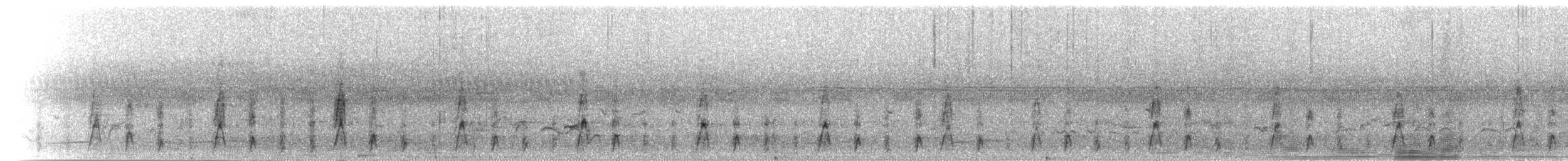 Oie-armée de Gambie - ML277482