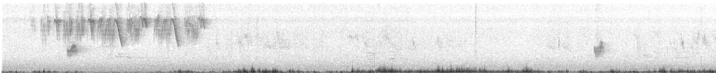 White-rumped Swallow - ML277552201