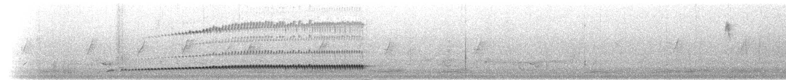 medozvěstka šupinkohrdlá - ML277603
