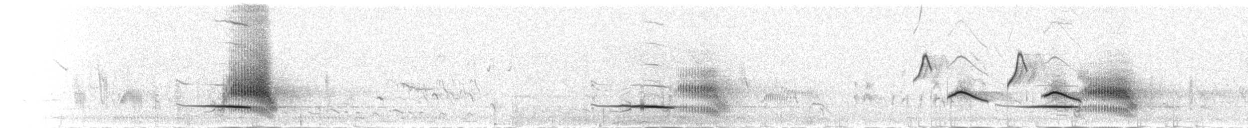 White-tailed Shrike - ML277632