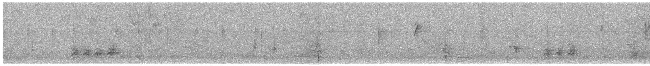 Weißbrustkleiber [lagunae-Gruppe] - ML277653251