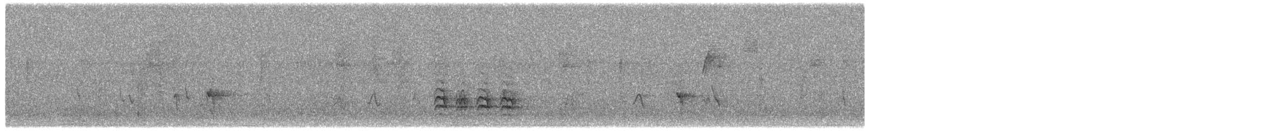 Weißbrustkleiber [lagunae-Gruppe] - ML277653261