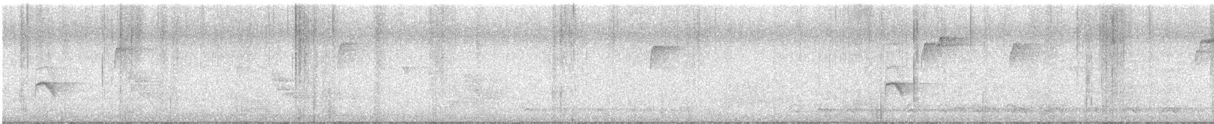 Gray-cheeked Thrush - ML277675051