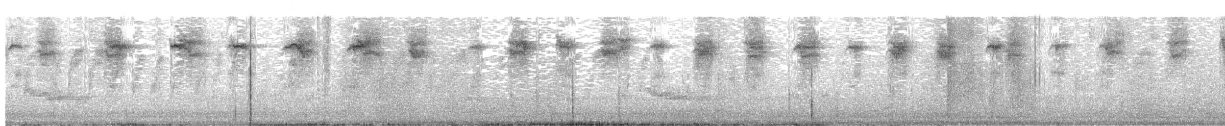 Волове очко - ML27768631