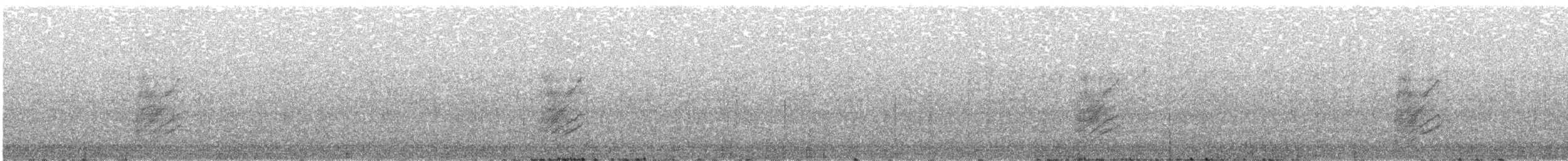 Woodhouse's Scrub-Jay - ML277742901