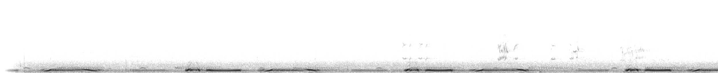 holub skvrnitý - ML277753