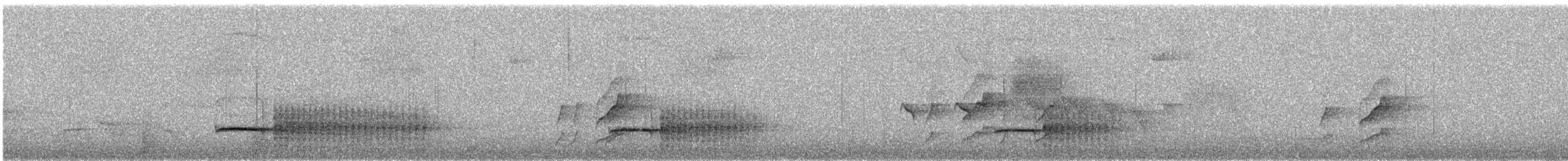 Касик жовтодзьобий (підвид australis) - ML277795271