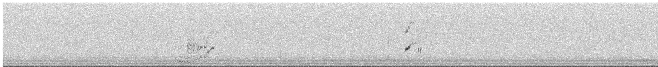 Snow Petrel - ML277815261