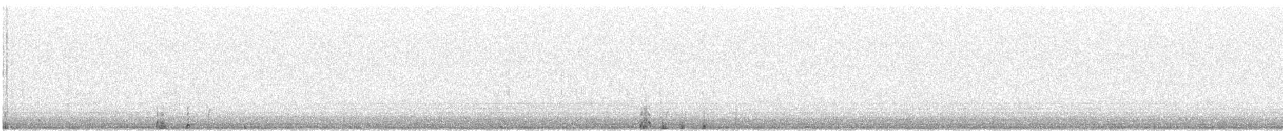 Snow Petrel - ML277816091