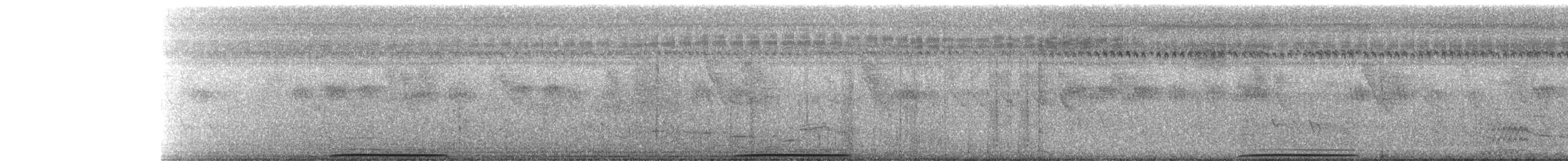 Spotted Buttonquail - ML277886741