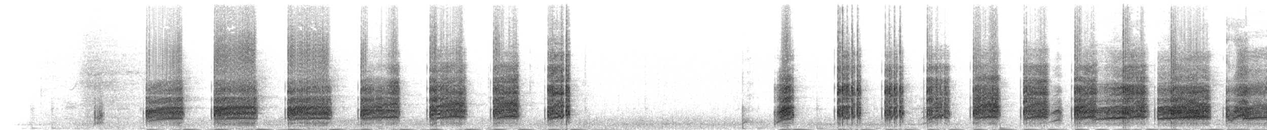 Белокрылый корхан - ML277929