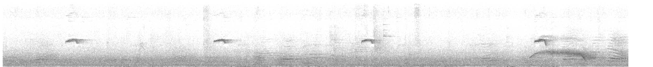 gransanger (tristis) (sibirgransanger) - ML277936461