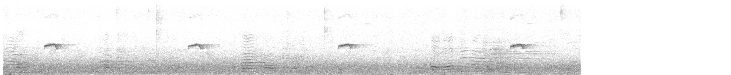gransanger (tristis) (sibirgransanger) - ML277936471