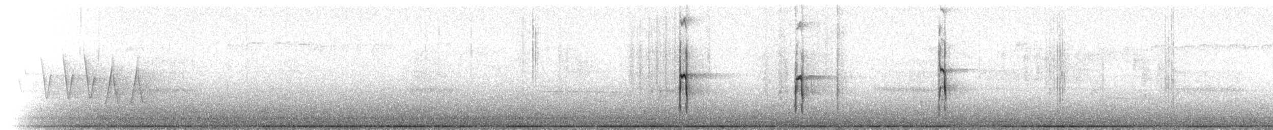 strakapoud americký [skupina villosus] - ML27799851