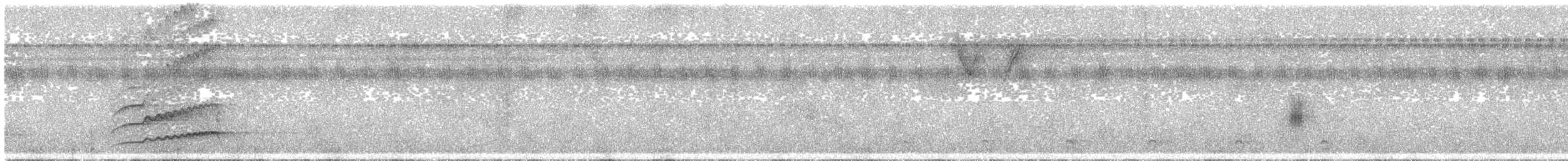 Schwarzgesichtkotinga - ML278026351