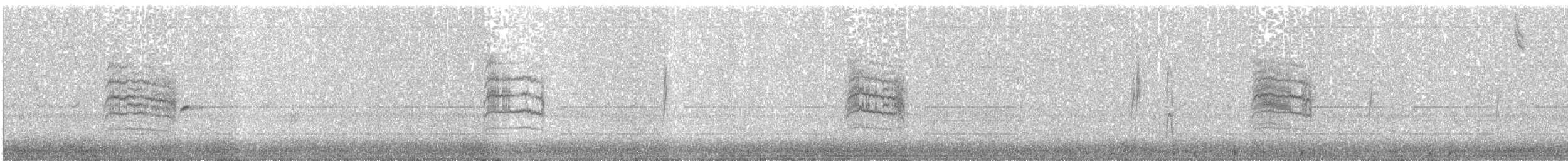 Northern House Wren - ML278033461