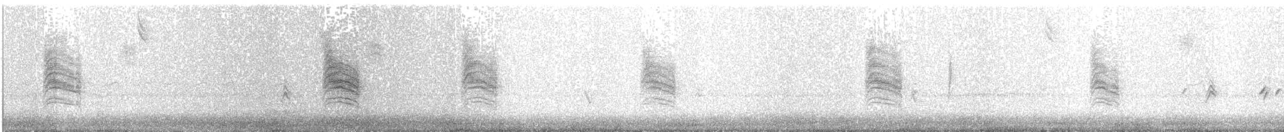 Northern House Wren - ML278033521
