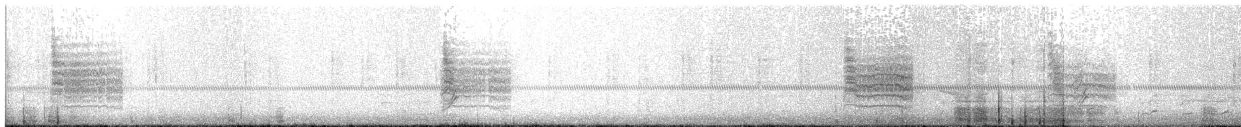 Northern House Wren - ML278033541