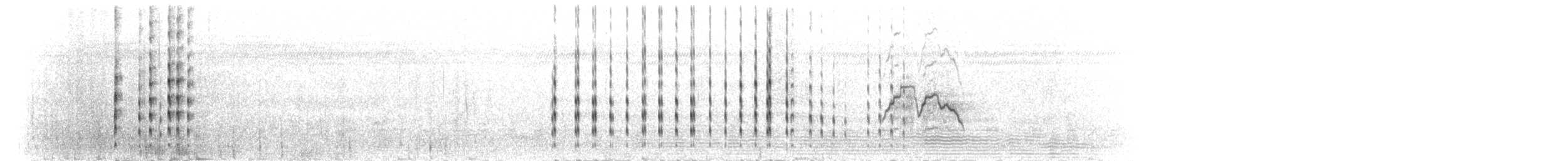 Vanneau à ailes blanches - ML278058