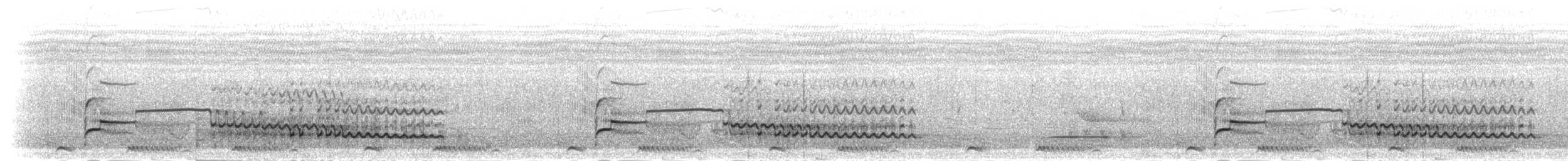 トビ（aegyptius／parasitus） - ML278068