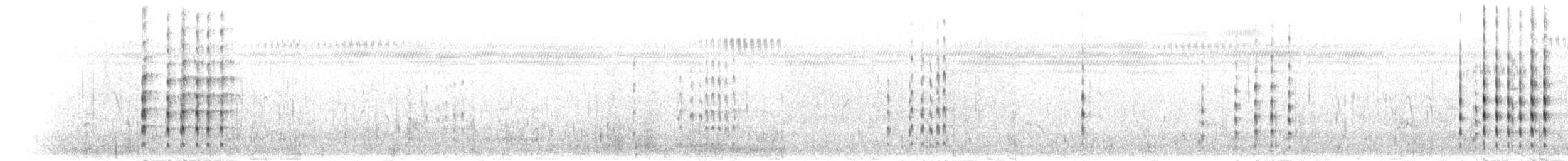 Vanneau à ailes blanches - ML278070