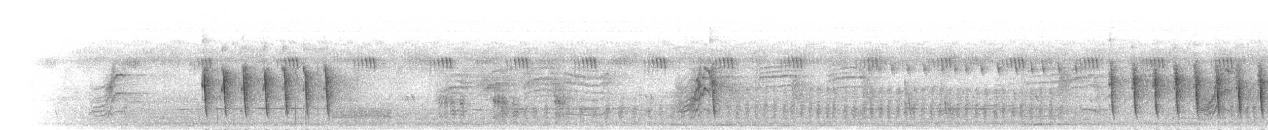 villnissanger (brevicaudata gr.) (gråryggsanger) - ML278136