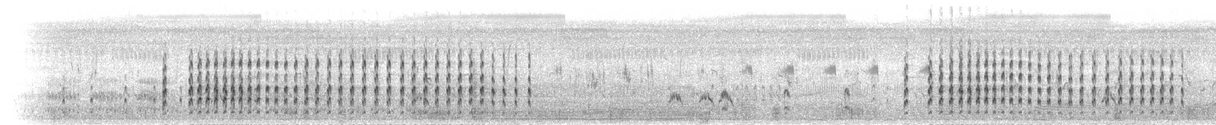 Vanneau à ailes blanches - ML278164