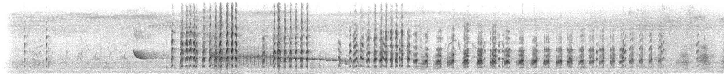 Vanneau à ailes blanches - ML278171