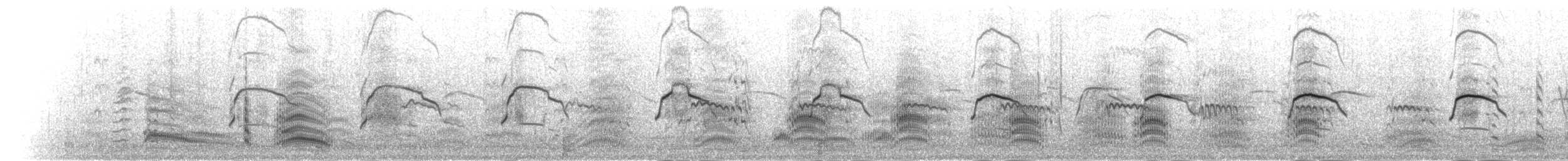 Hartlaubmöwe - ML278217