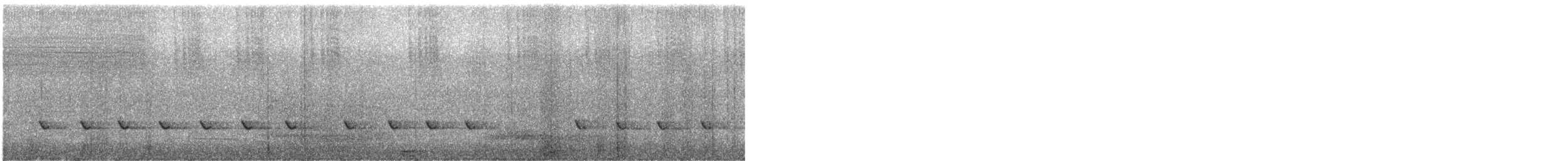 Королаз плямистобокий [група leucophaea] - ML278238591
