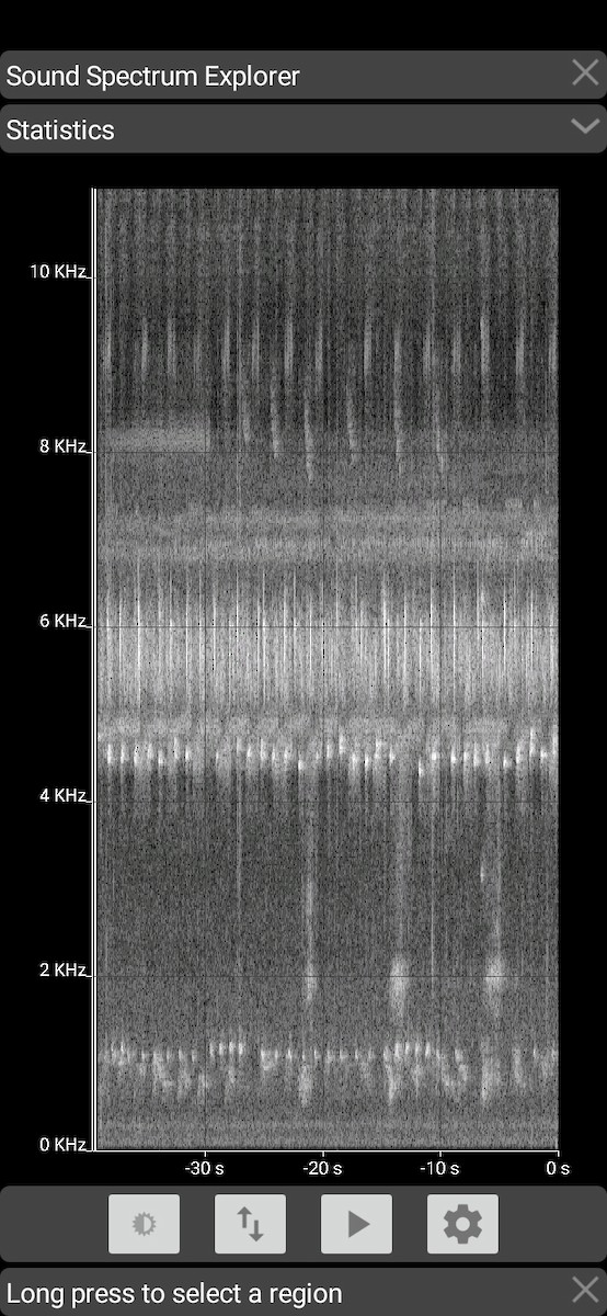 Sakhalin Leaf Warbler - Neoh Hor Kee