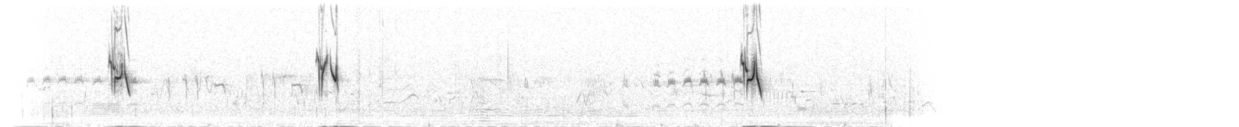 Yellow Canary - ML278288