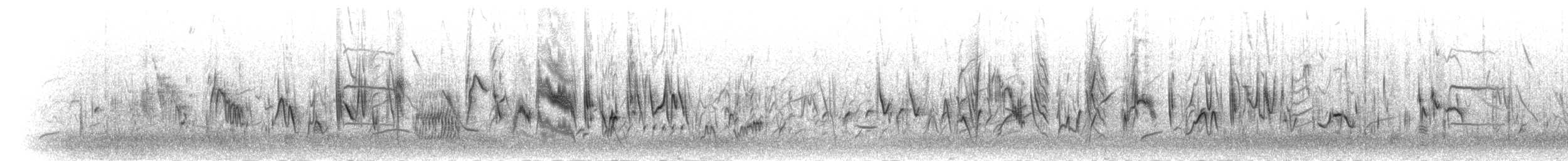 Yellow Canary - ML278305