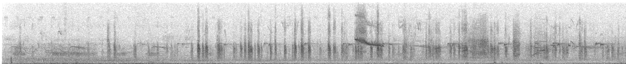 Quiscale bronzé (versicolor) - ML278331581