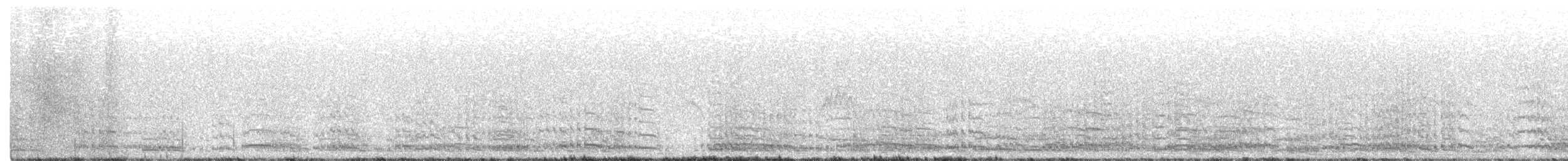 Kurrilo arrunta - ML278359611