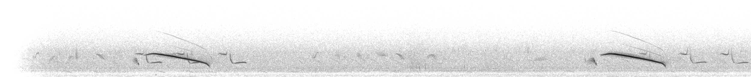 Alouette du Namaland (groupe subcoronata) - ML278365