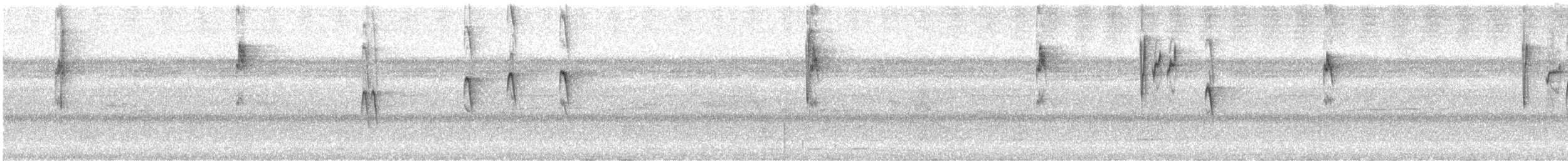 opalgumptanagar (cyanomelas) - ML278365641