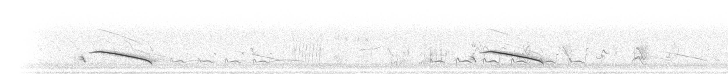 Alouette du Namaland (groupe subcoronata) - ML278367