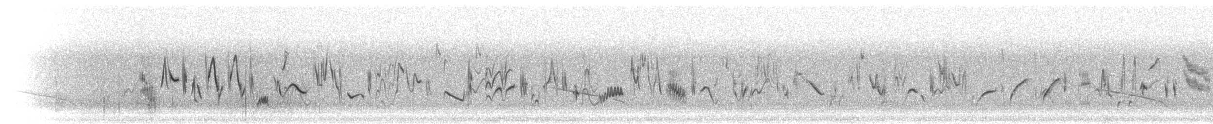 Yellow Canary - ML278369